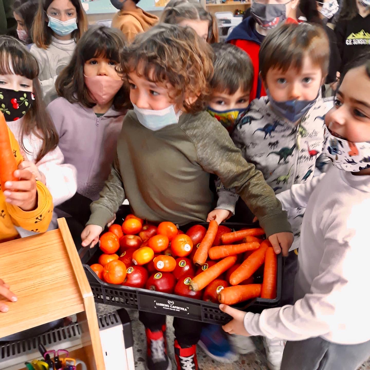 1r Alimentacio 2