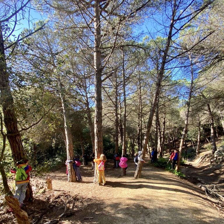 1r bosc des 21 2