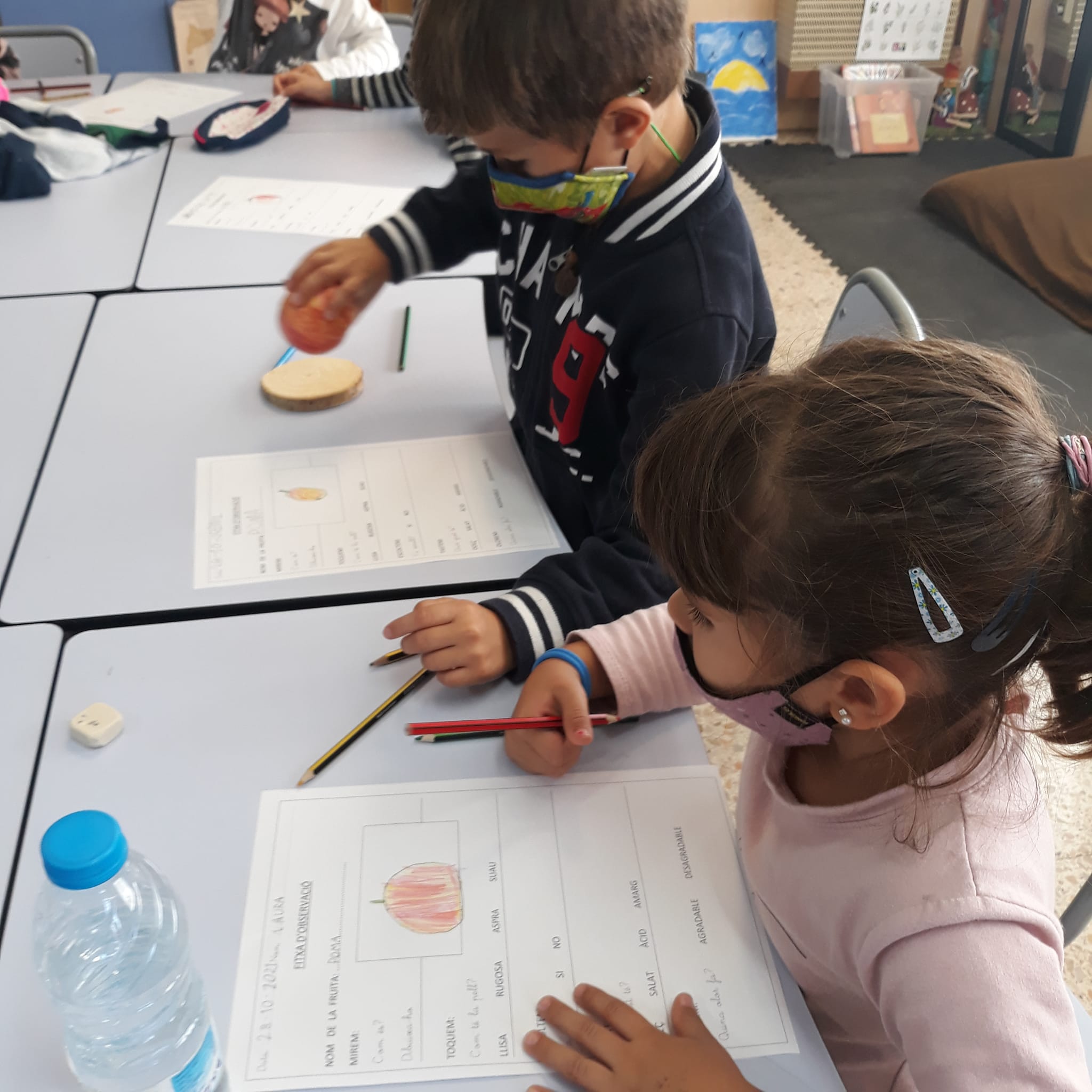 1r fruites 2