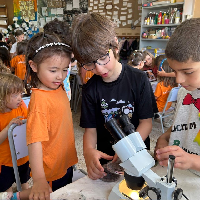 2n Museu Virus 1