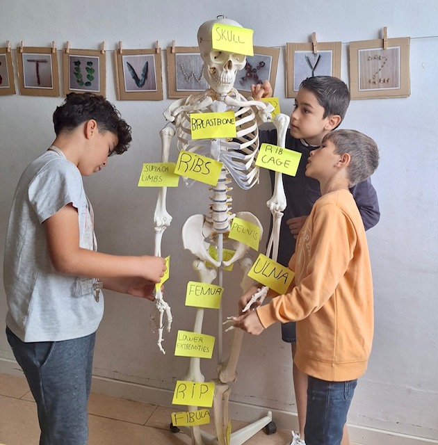 3r Human Body 1