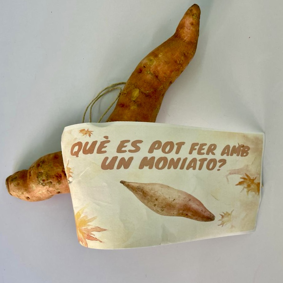 3r Moniato Oct 23 2