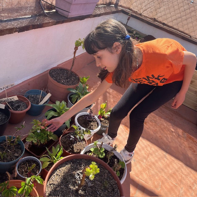 5e Hort abril 24 2