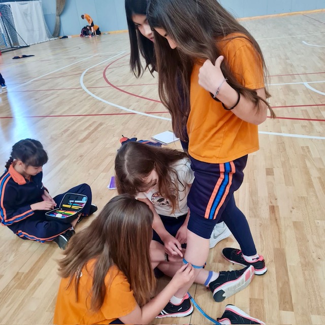5e musculs 1