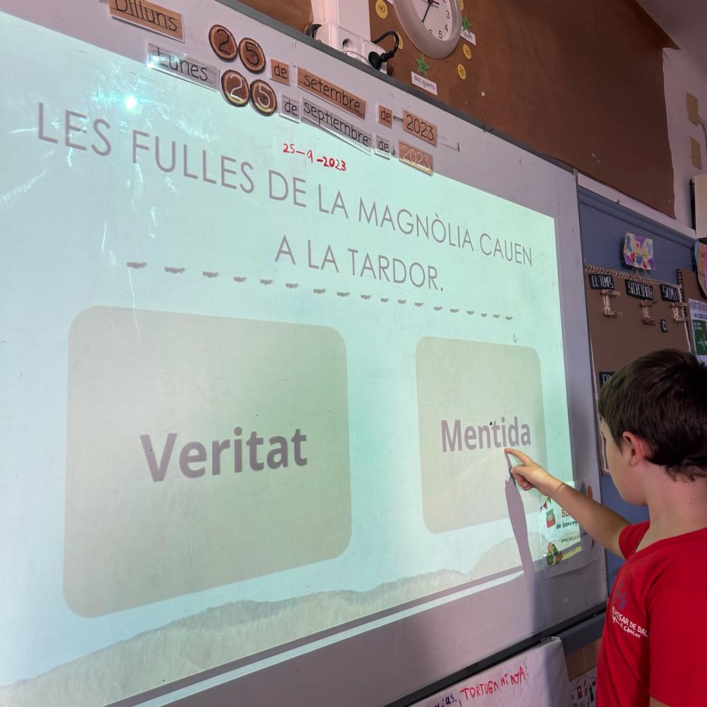 2n magnolia preguntes 1