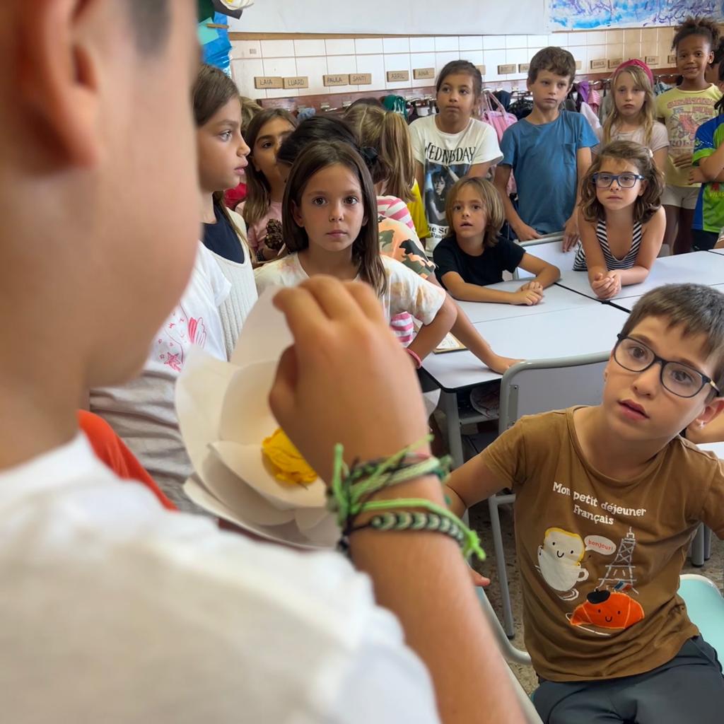 2n magnolia preguntes 2