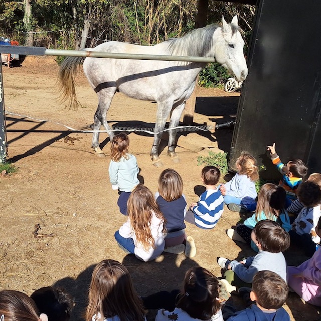 Infantil Cavall Dandi 2