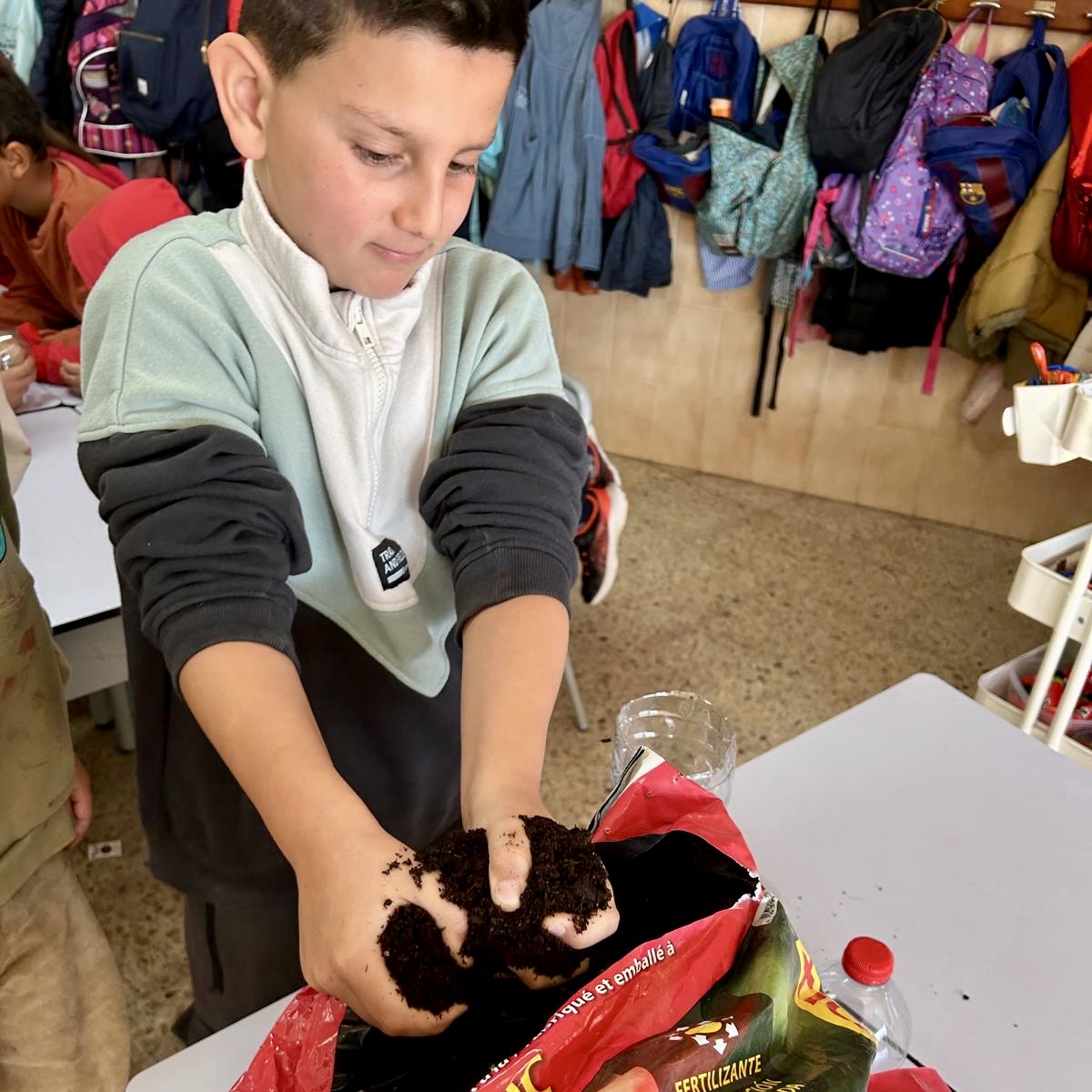 2n esqueix olivera 5
