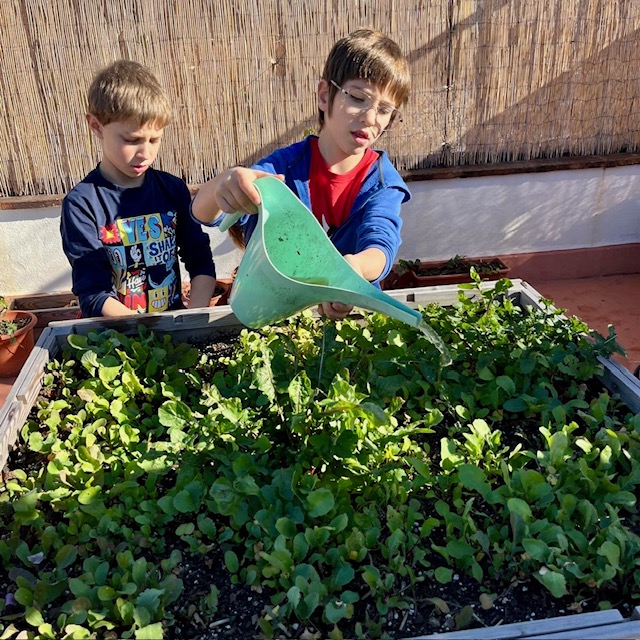 3r Hort Nov 24 1