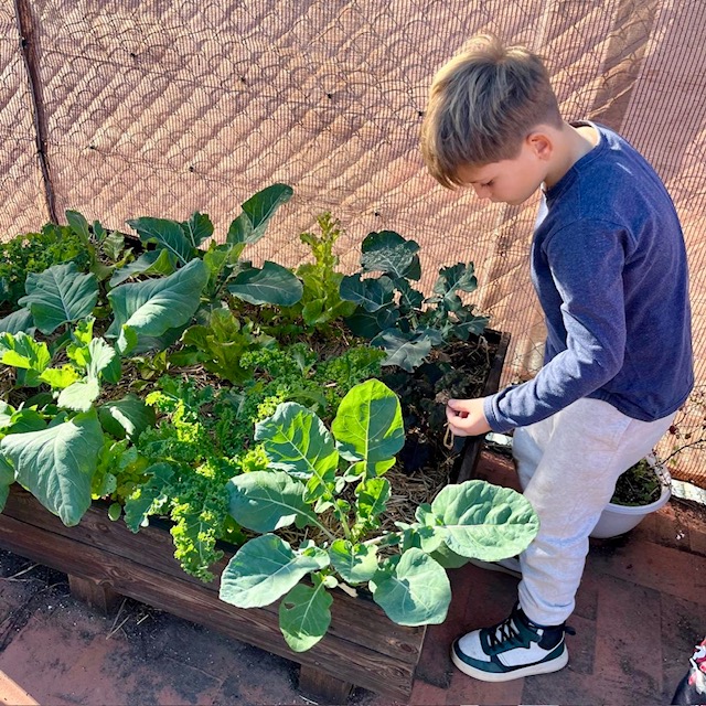 3r Hort Nov 24 2