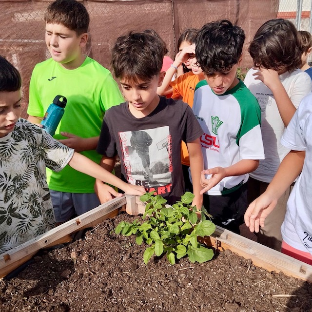 5e Hort 1