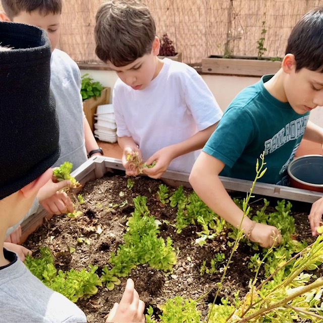 5e Hort abril 25 2