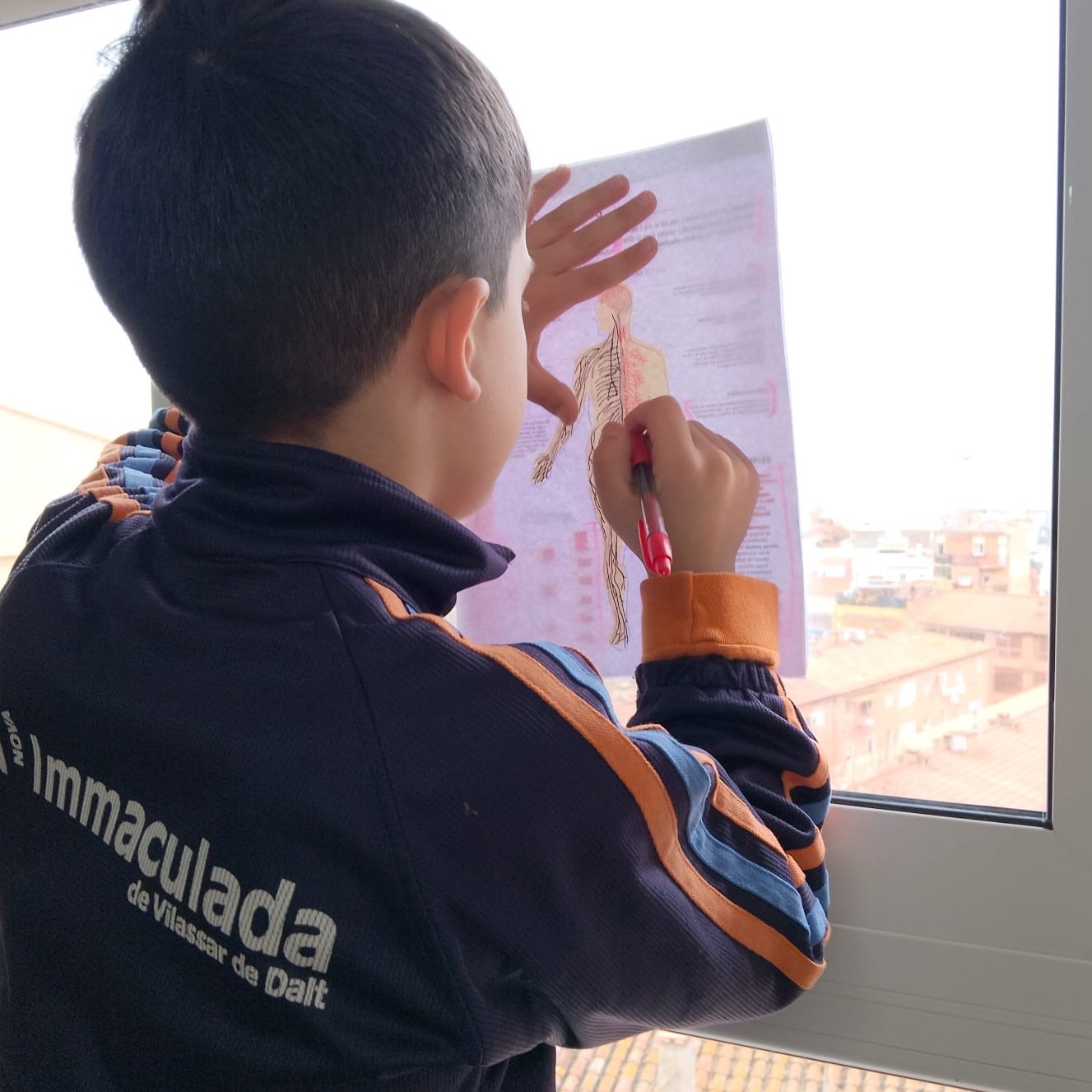 5e Sistema nervios 25 1