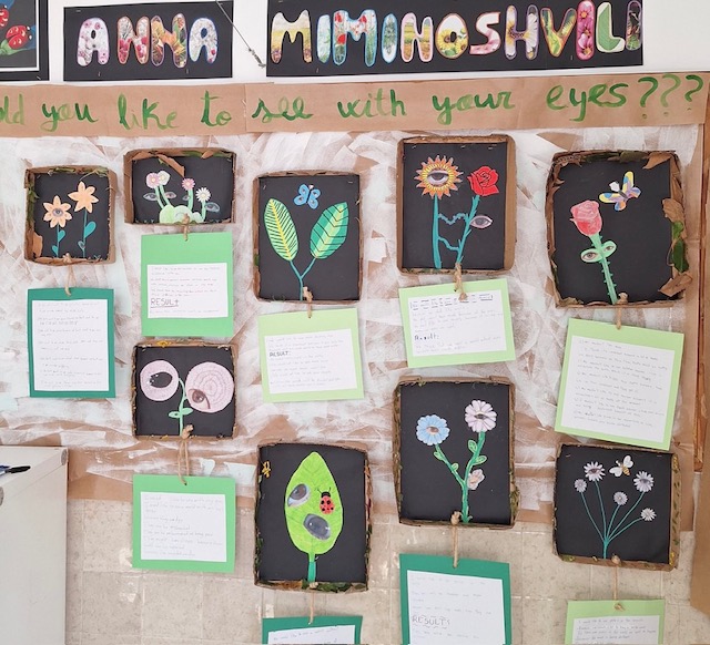 6e maleta Miminoshvili 2