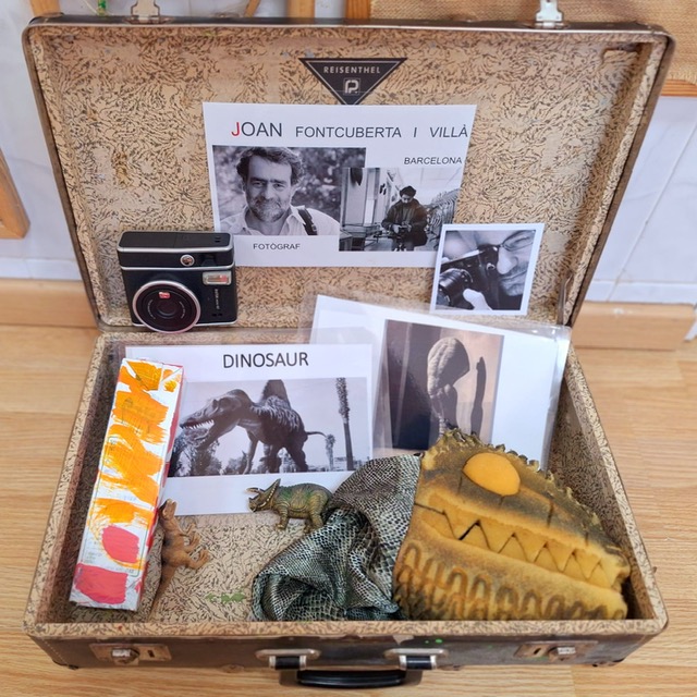 3P maleta Fontcuberta Dinosaur 25 1