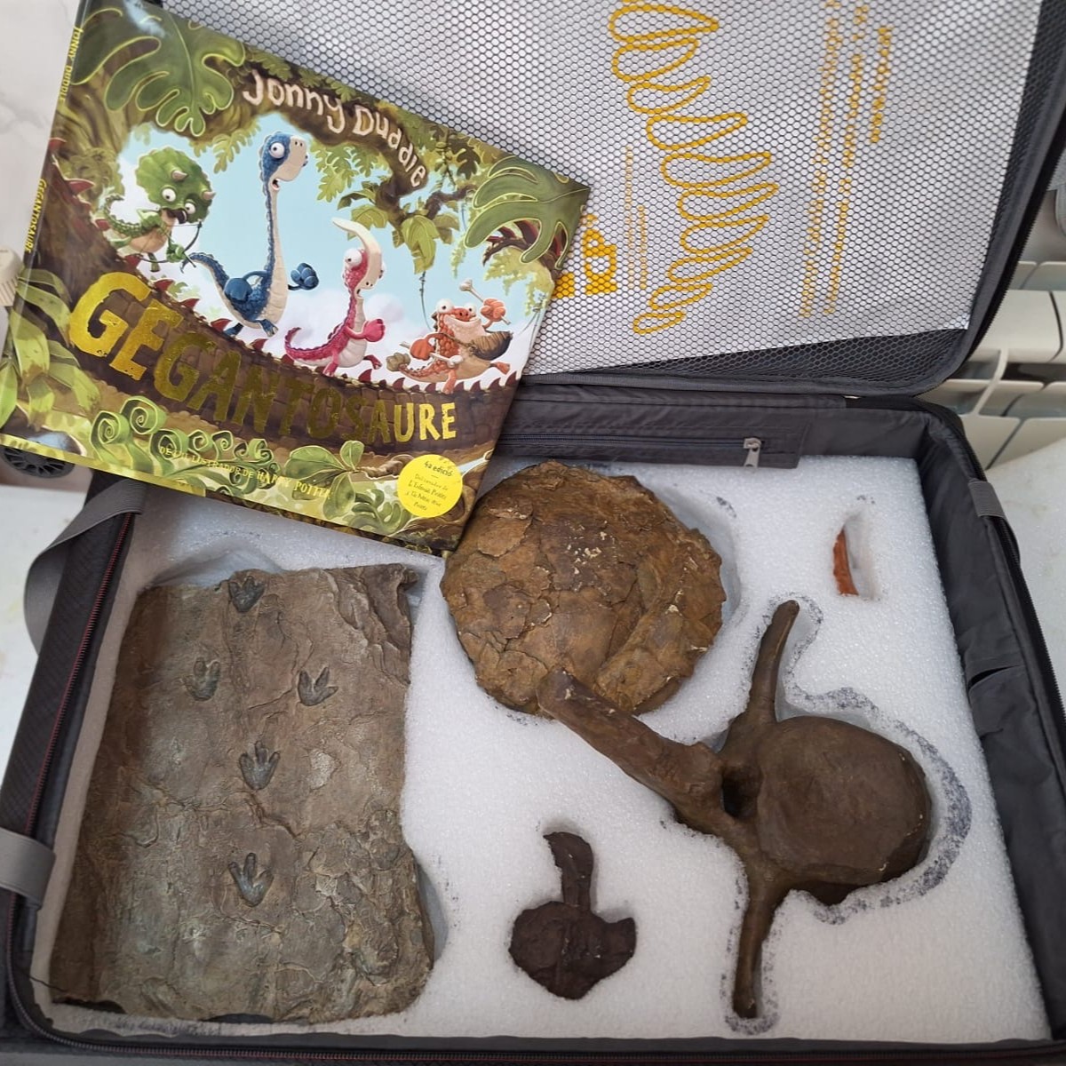 3P maleta Paleo 25 2
