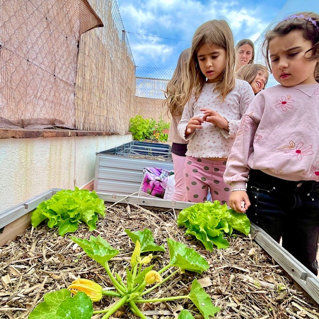5P plantes Hortet 2