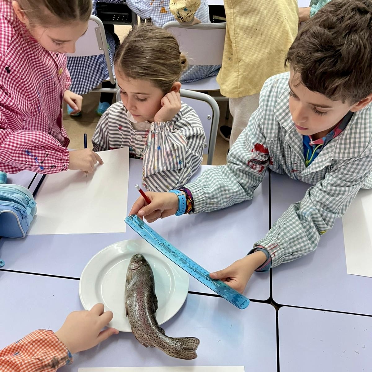 3r peixos 1