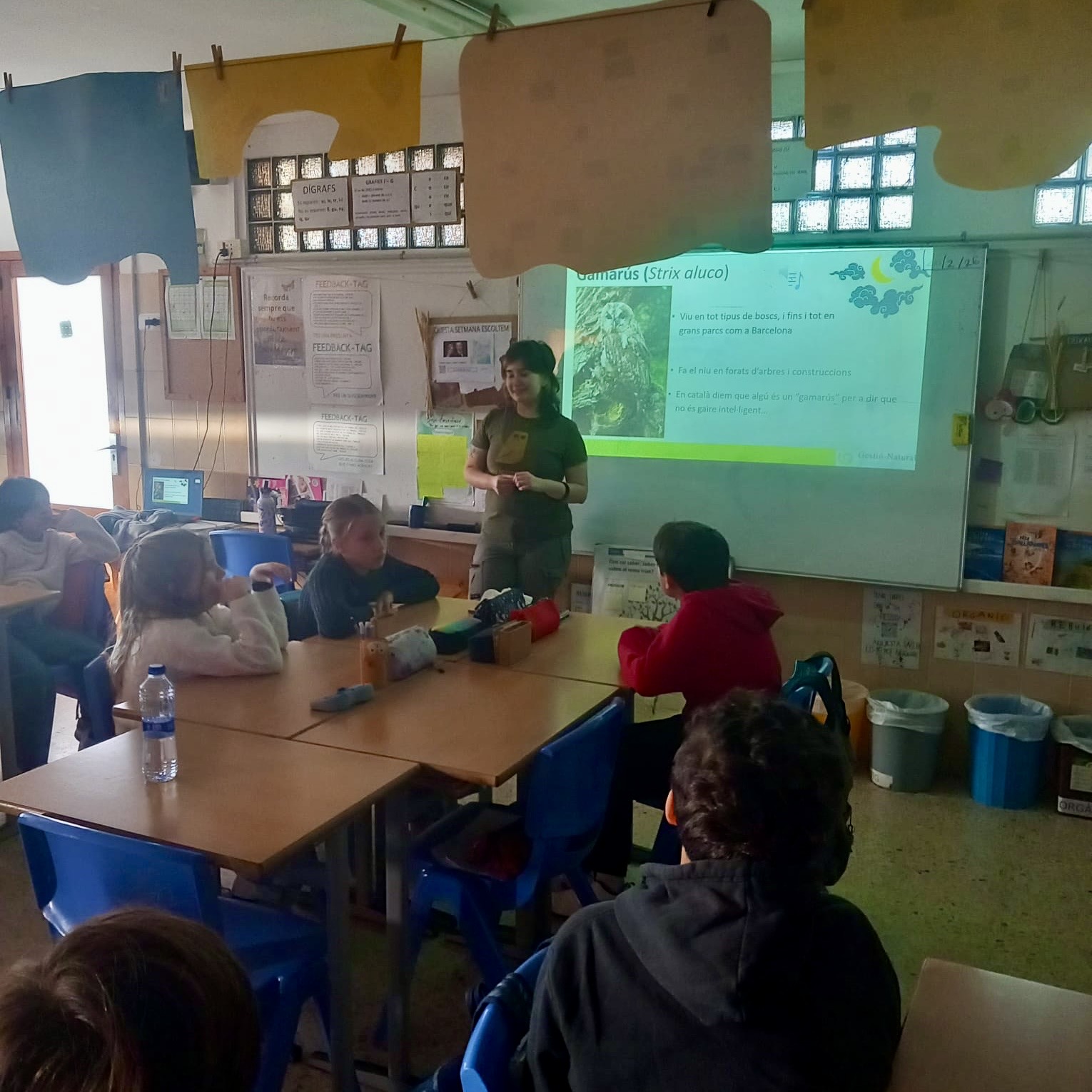 5e Rapinyaires 2