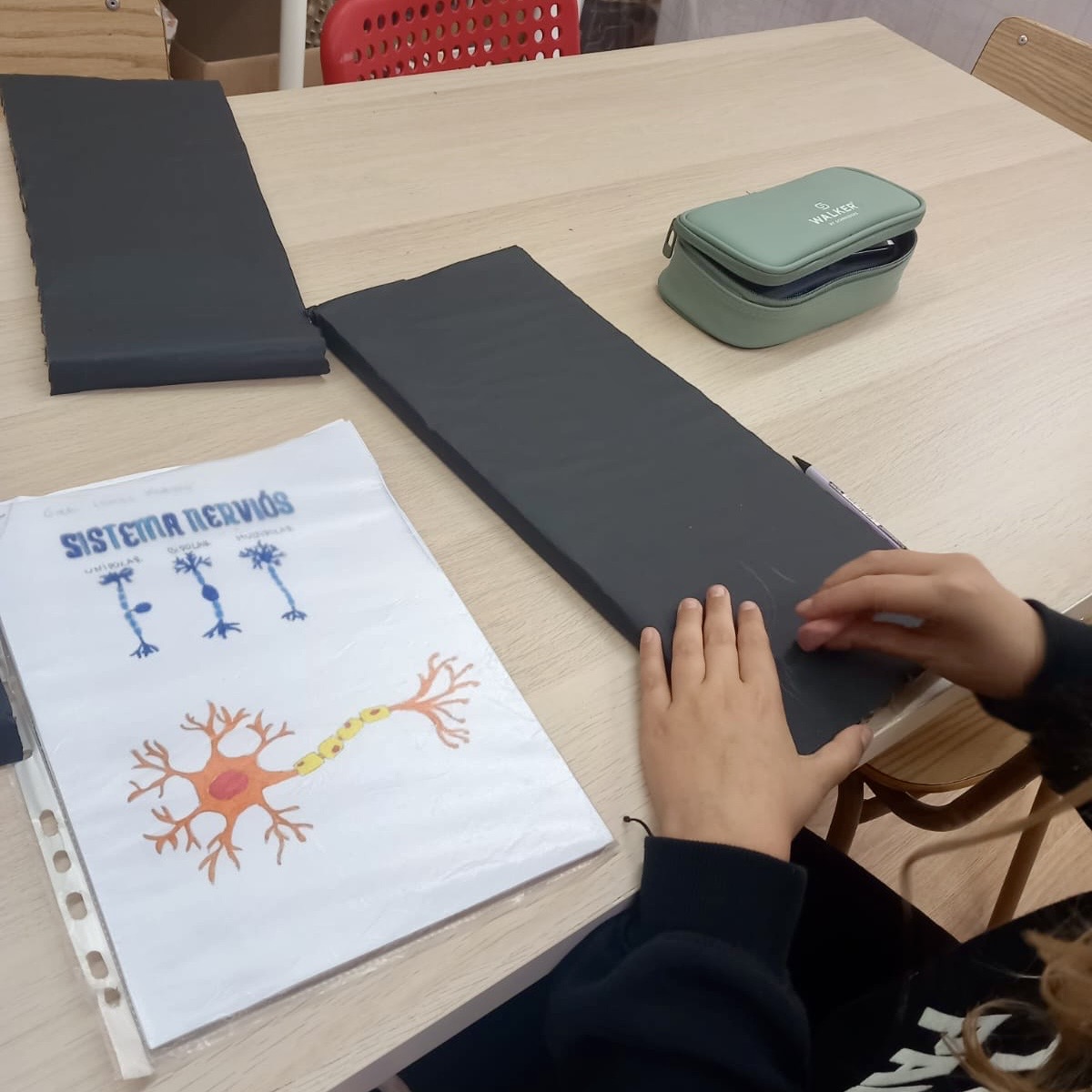 5e neurones Nov 25 1