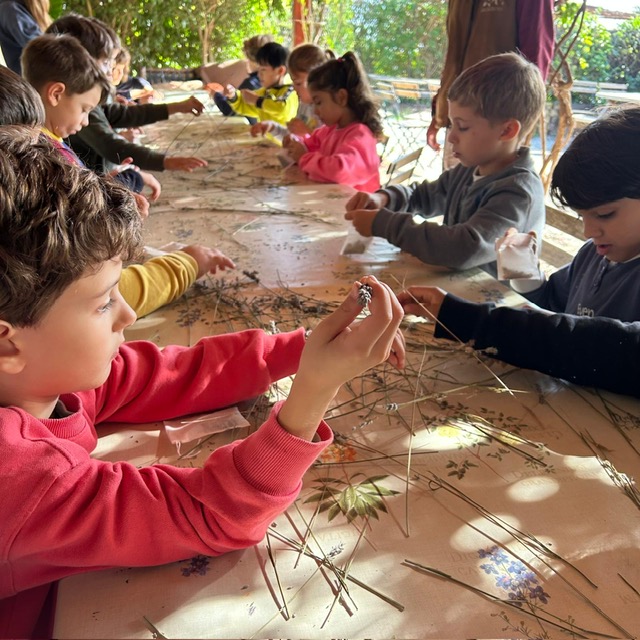 CI Parc Olors Nov 25 2