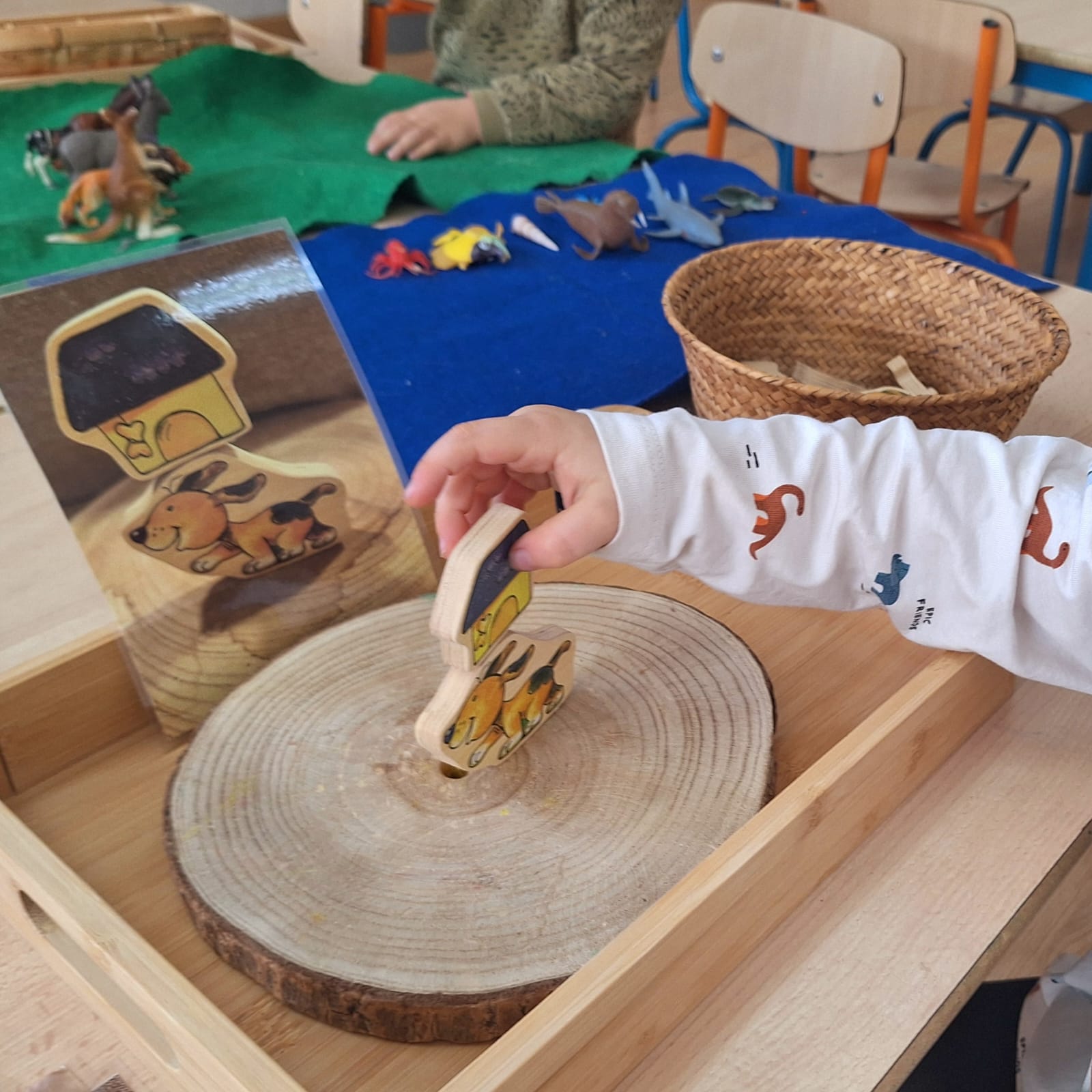 3P Racons Gener 26 2