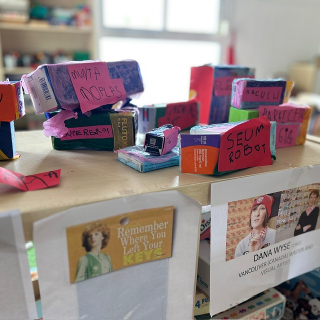 4P maleta Dana Wyse 2