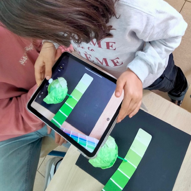 5P Carta colors 1