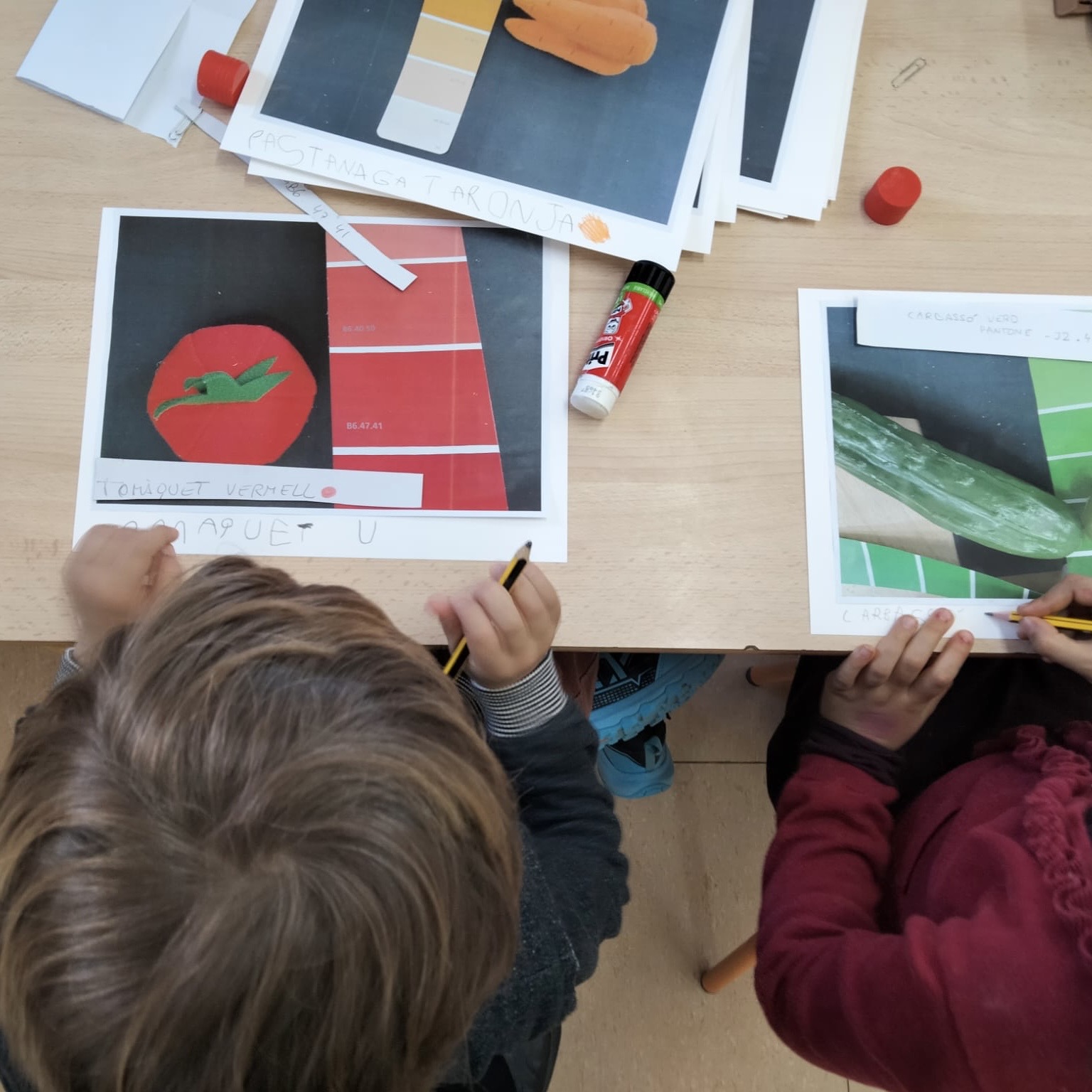5P Carta colors 2
