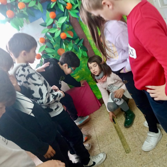 4t mesura grup 1