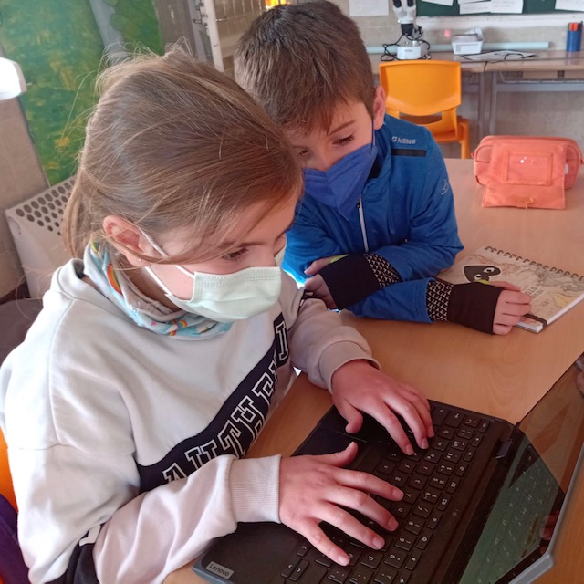 4t projectes 1