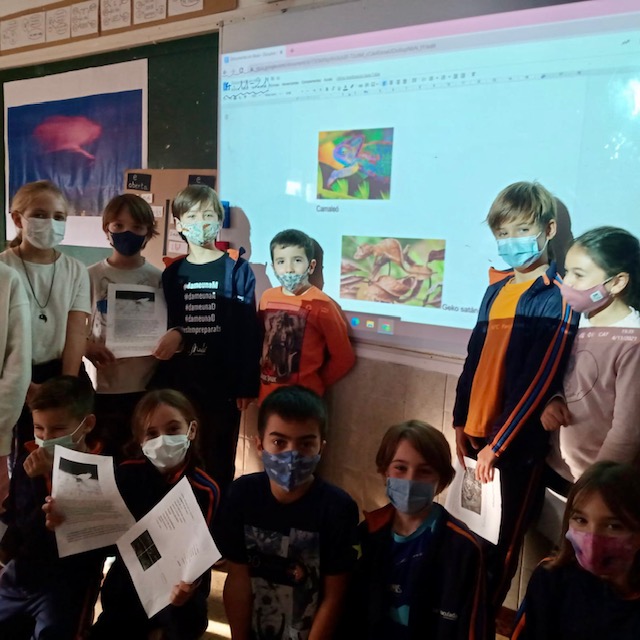 4t projectes nov 21 1