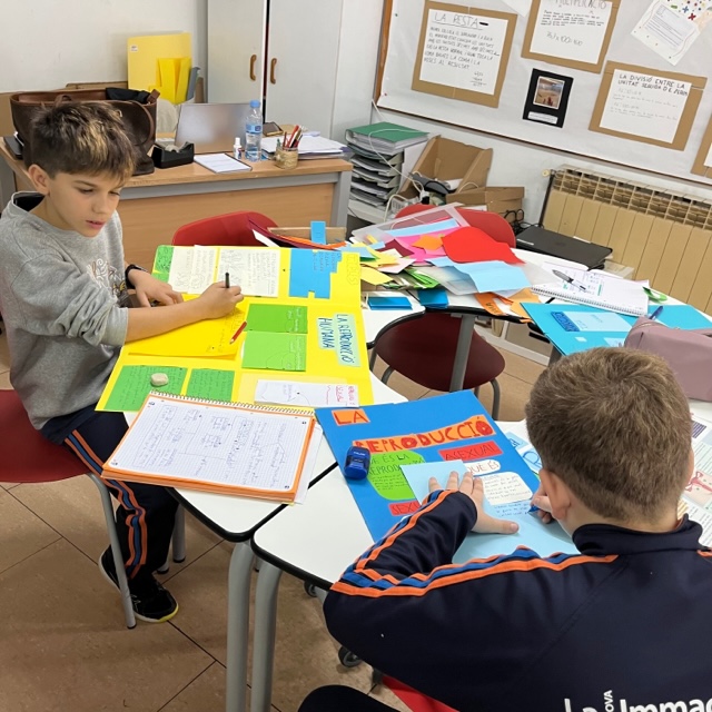 6e Lapbook reproduccio 22 2
