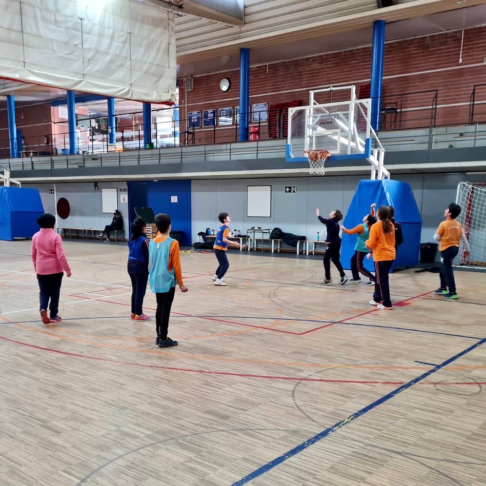 6e basquet 2