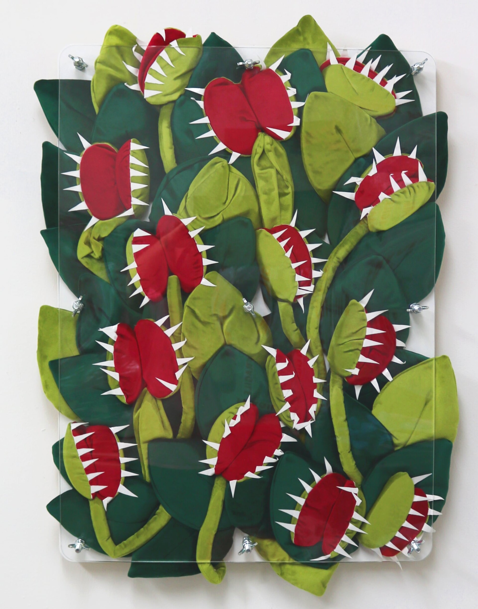 00 ANT HAMLYN VELVET VENUS 960x12232x