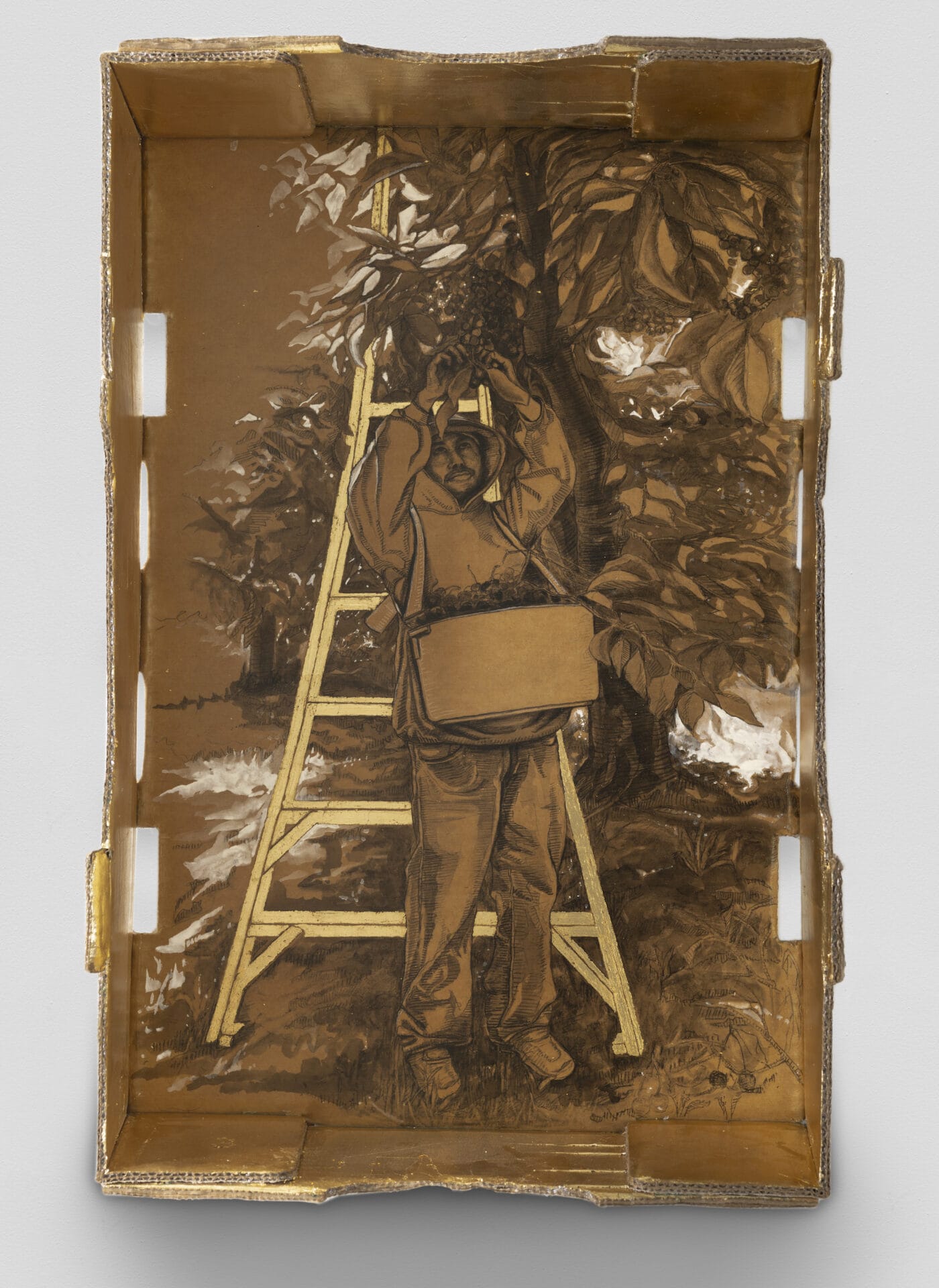00 Narsiso Martinez Natures Candy Picker