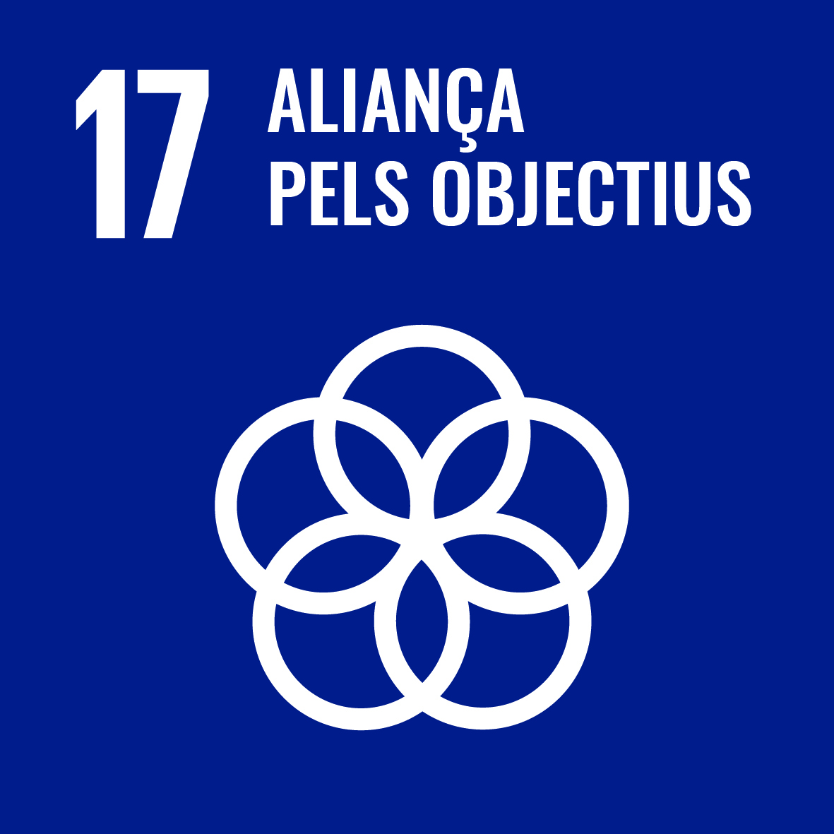 ODS 17