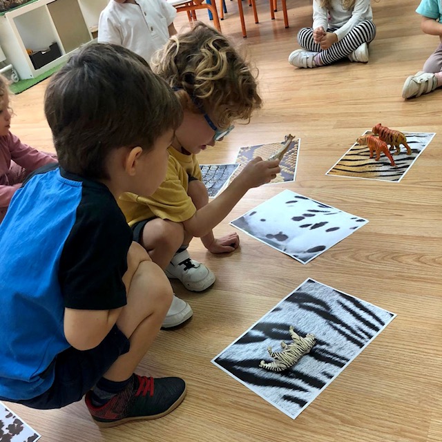 3P tigre 1