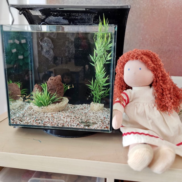 4P Aquari 1