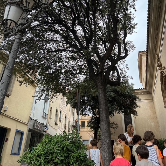 2223 5P arbres 2