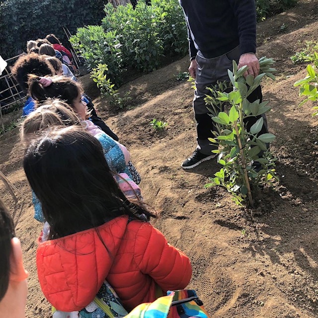 5P Hort 1
