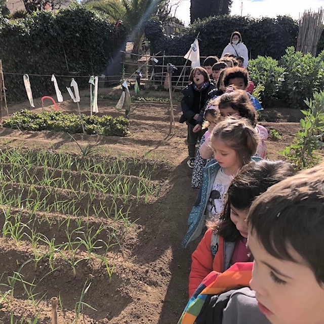 5P Hort 2