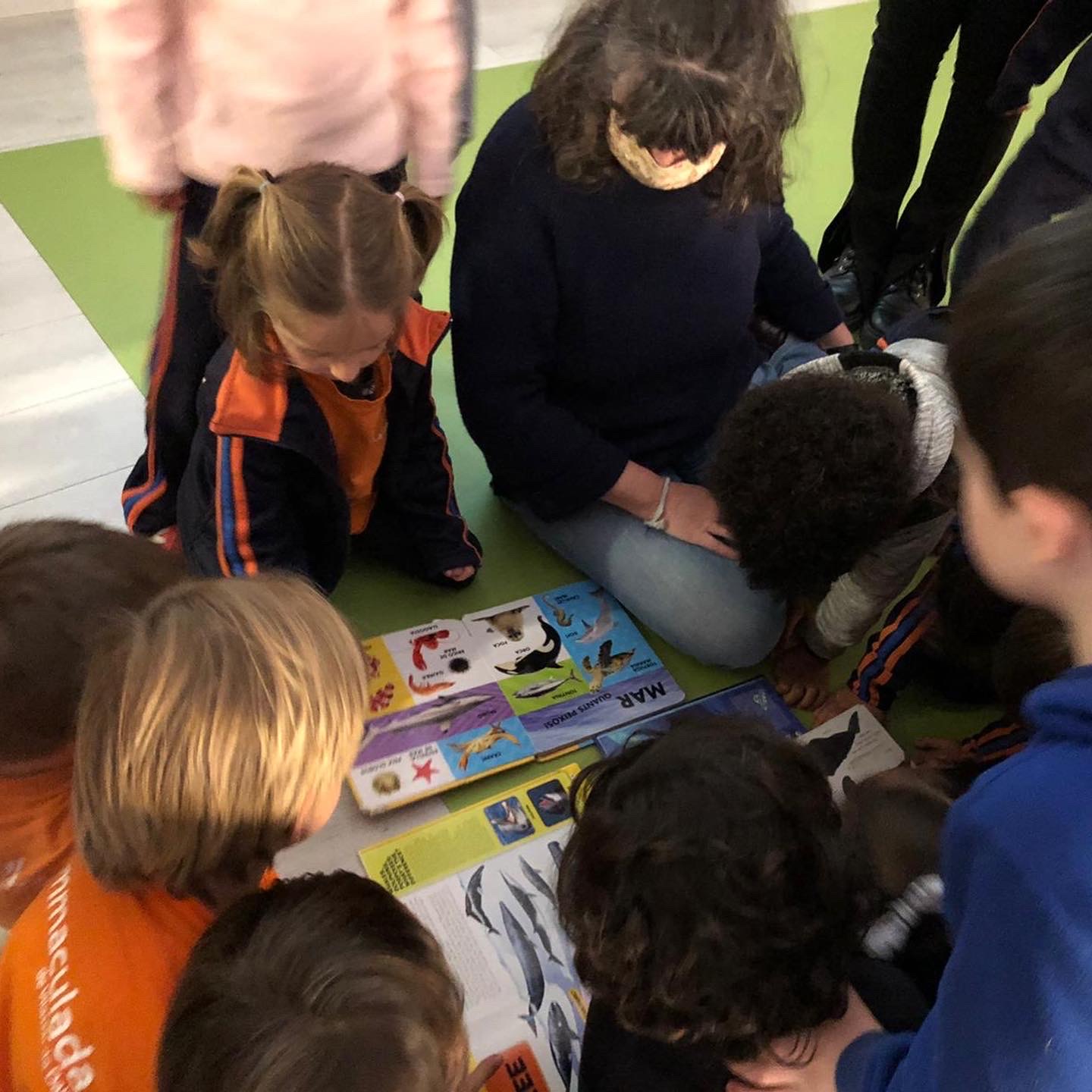 5P dia ciencia 22 1