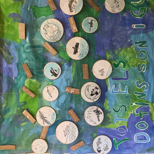 5P dofins 1